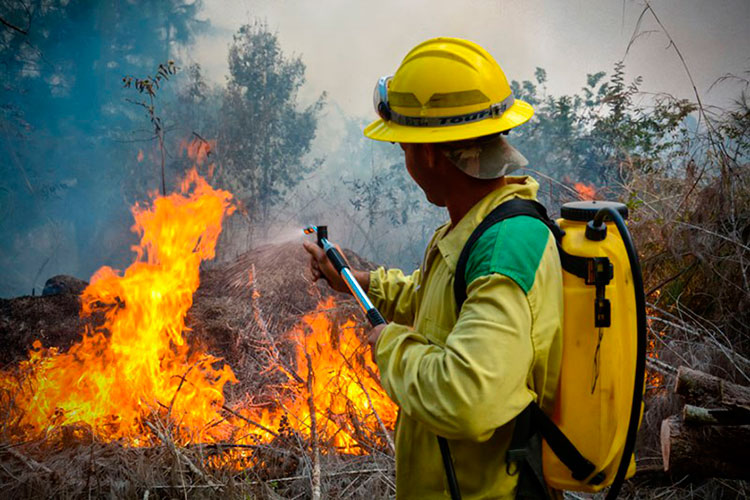 Foto: Juan Pablo Carreras/ACN