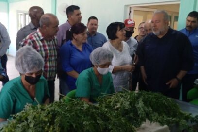 Planta de polvo de moringa tributará a industria farmacéutica