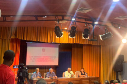 Publica Gaceta Oficial Ley General de Protección al Patrimonio