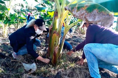 La CTC en Las Tunas promueve movilizaciones productivas