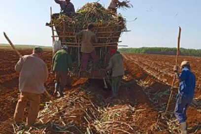 Luz sobre lo bueno de la tierra (+Fotos)