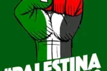 FSM se pronuncia sobre sucesos en Palestina (+video)