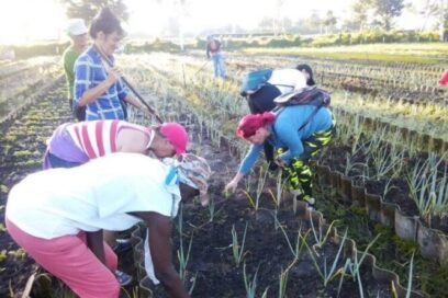 Conmemoran aniversario 28 del Sindicato de Hotelería y Turismo (+video)