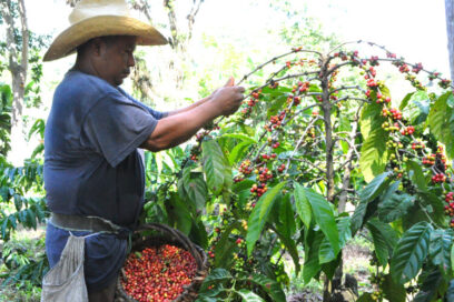 Hay que asumir el empeño
