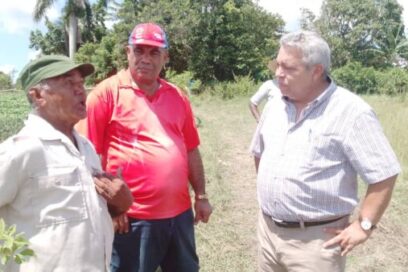 Salvarnos desde dentro