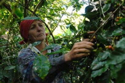 Pospuesta Conferencia Nacional de agropecuarios, forestales y tabacaleros