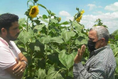 Maripa: la finca del asombro