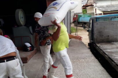 Sin descanso se estiba la harina