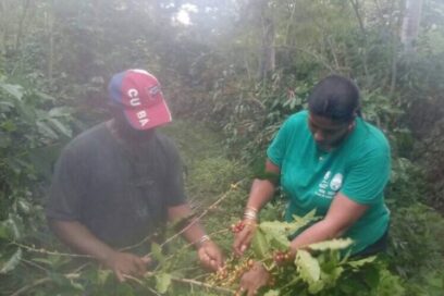 CTC Santiago de Cuba con papel protagónico en la producción de alimentos