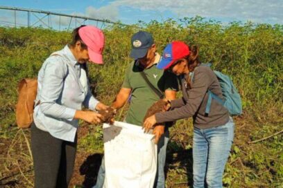 Planifican en Holguín actividades por el Aniversario 85 de la CTC