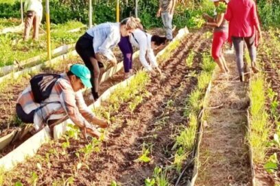 El movimiento sindical y la producción de alimentos