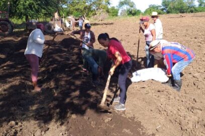 Saludo productivo por aniversarios de la Revolución y la CTC (+video)