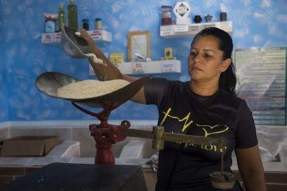 Información sobre la distribución del arroz para noviembre de 2023