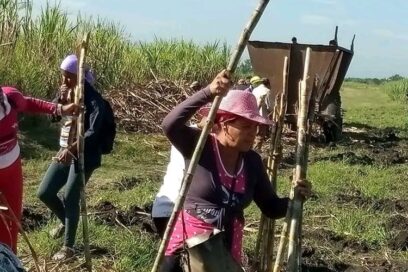 CTC Santiago de Cuba: Diana en las prioridades del territorio