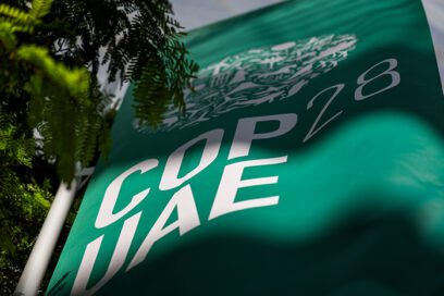 Califican de balanceados pero insuficientes resultados de COP-28