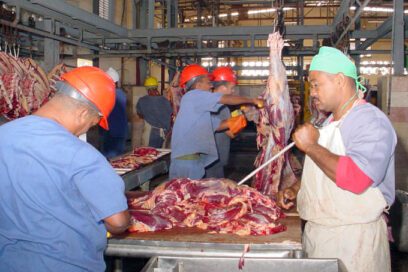 Empresa Cárnica de Granma evitó trabajadores interruptos
