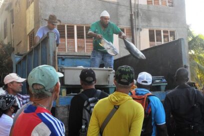 Hoy, Feria Agroalimentaria en Las Tunas