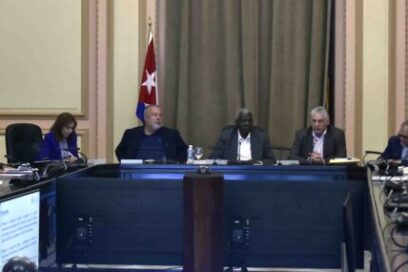 Consejo de Estado analizó temas de sesión de Asamblea Nacional el 20 de diciembre