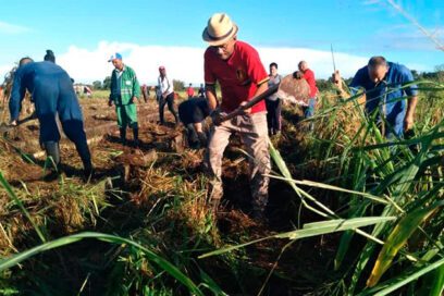 CTC de Matanzas reconoce aporte laboral en importante fuente de alimentación