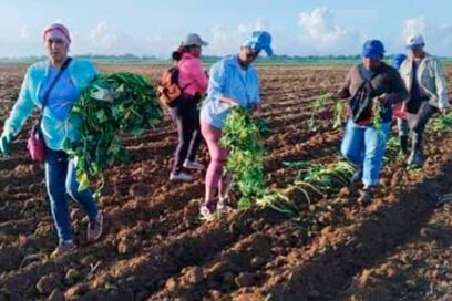 Prioriza CTC recuperación económica en Ciego de Ávila