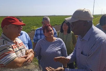 Recorre Valdés Mesa polo productivo de Pinar del Río