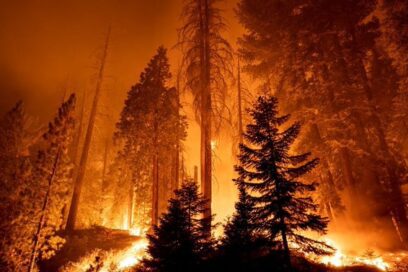 Canciller de Cuba advierte sobre consecuencias del cambio climático