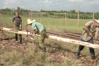 Conmemorarán aniversario 85 de la CTC en Pinar del Río