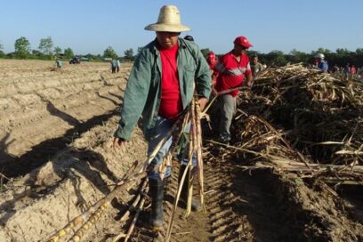 Llaman a los trabajadores de Granma a elevar los compromisos