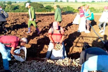 Cierre productivo por aniversarios de José Martí y de la CTC