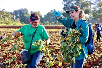 El mejor homenaje a Martí: hacer que la tierra sirva