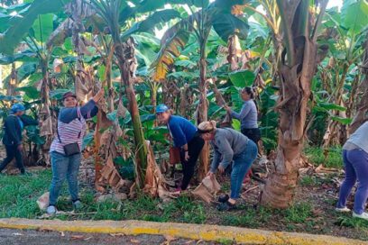Trabajo Voluntario: leales a una historia de 85 años