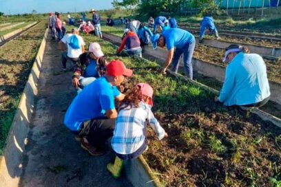 Desde el surco celebran camagüeyanos aniversario de la CTC