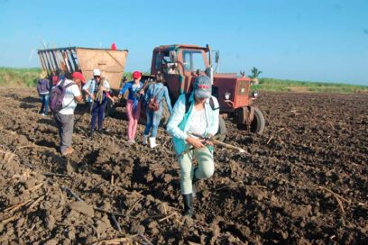 Aniversario 85 de la CTC en Sancti Spíritus: de frente a la producción agropecuaria