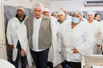 Díaz-Canel visita entidades pineras con problemas de gestión