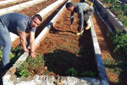 Reconocen aporte del turismo a la producción de alimentos