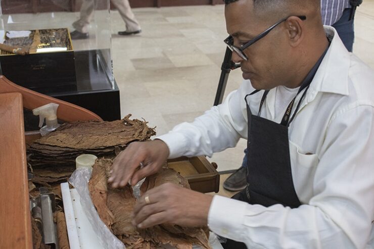 Foto: Alejandro Acosta Echavarría