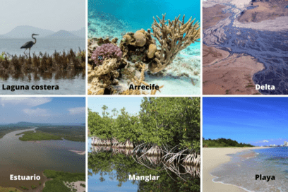 Elevada degradación de humedales del planeta afecta bienestar humano