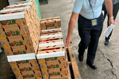 Realizan exportaciones por aeropuerto de Varadero