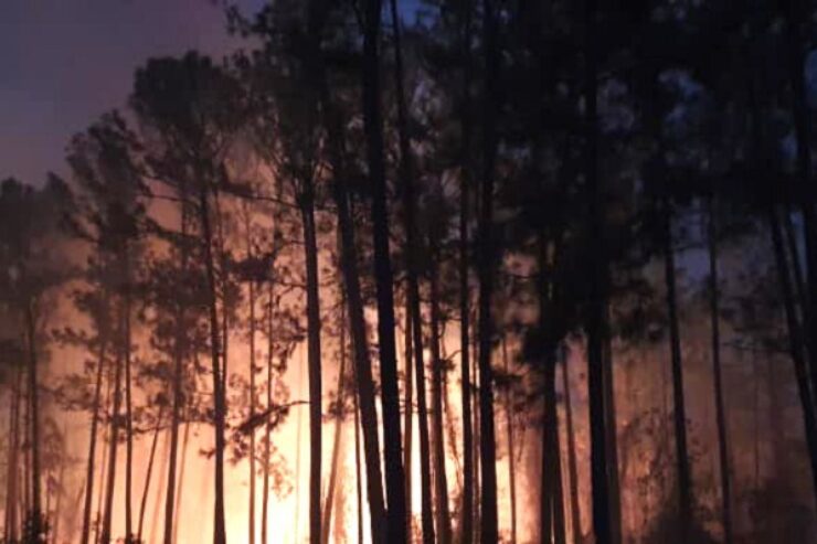 En la zona de Montezuelo del municipio de Mantua se reportó uno de los dos incendios de mayores proporciones. Foto: Lázaro Boza Lázaro Boza