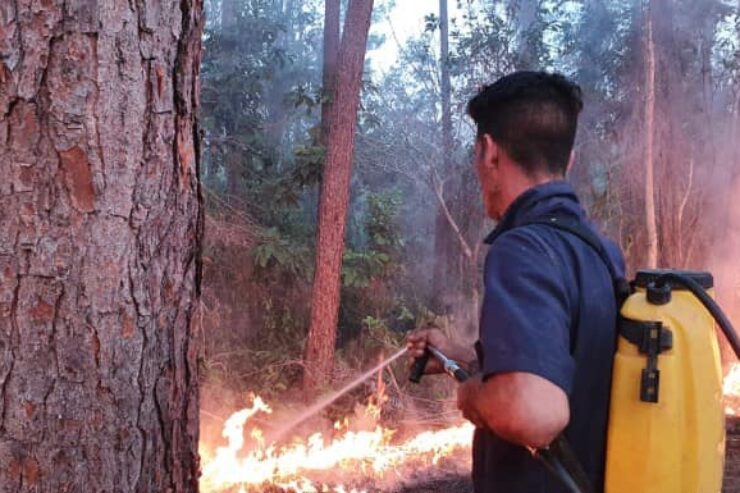 Durante el 2023 en la provincia Pinar del Río ocurrieron 160 incendios forestales. Foto: Lázaro Boza