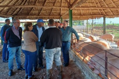 Llama Vicepresidente cubano a fomentar autoabastecimiento local