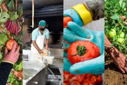 Elogia FAO directrices de Cuba contra desperdicio de alimentos