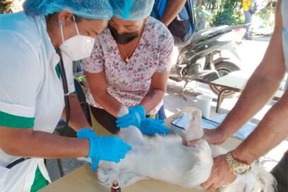 Lo humano entre animales