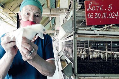 Llanos de Oriente: El inicio de una recuperación