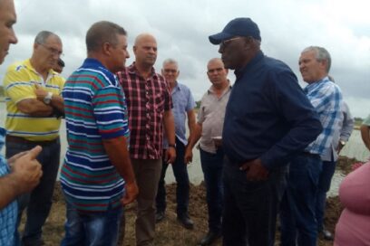 Evalúa Valdés Mesa programa arrocero villaclareño