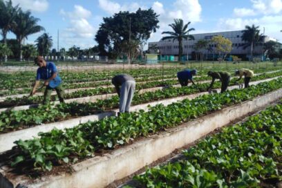 Crear más por Cuba se proponen avileños