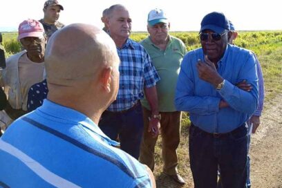 Recorre Valdés Mesa áreas agrícolas de Pinar del Río