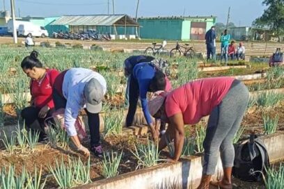 Higiene, belleza y producción de alimentos  por el Primero de Mayo en Matanzas