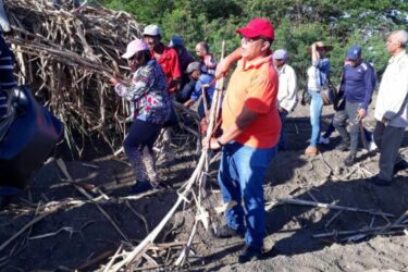 Máximos dirigentes políticos y de gobierno protagonizan jornada de siembra cañera