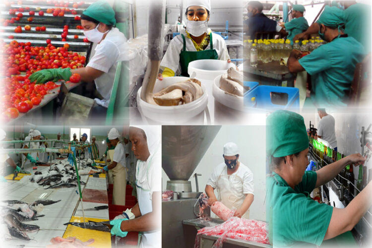 Industria alimentaria y la pesca 